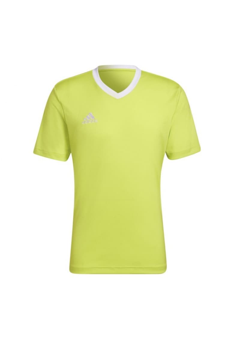 Tricou barbati -  Poliester - Verde - Verde